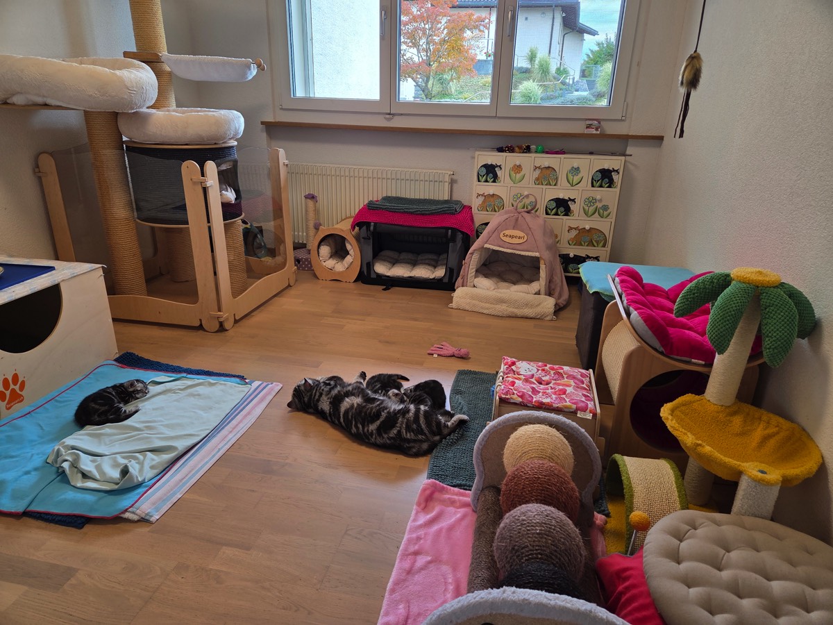 Stacks Image 847